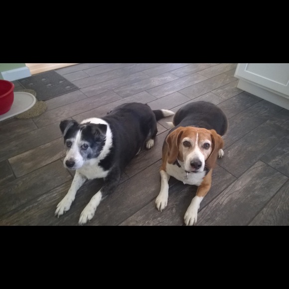 Meet your Posher, Julie - Picture 6 of 7